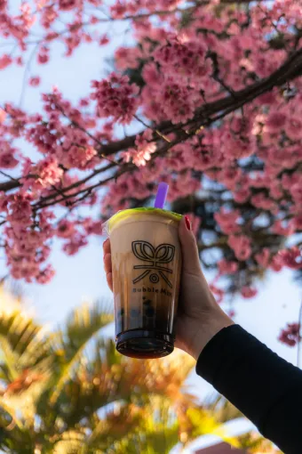 Cliente segurando um copo Bubble Mix Tea em frente a flores de cerejeira